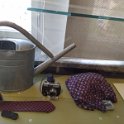 IMG 20240503 151627